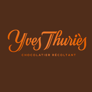 Logo_Franchise_Yves_Thuries300x300.jpg