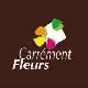 CARREMENT FLEURS