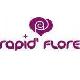 RAPID'FLORE (devient Coeur de Fleur)